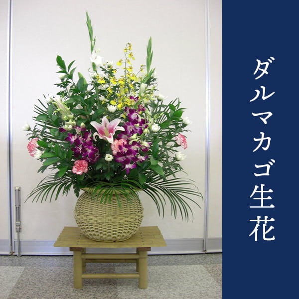 ����������ޥ������֡� [���Ϥ���ǽ���ꥢ��˭���ԡ��;���]