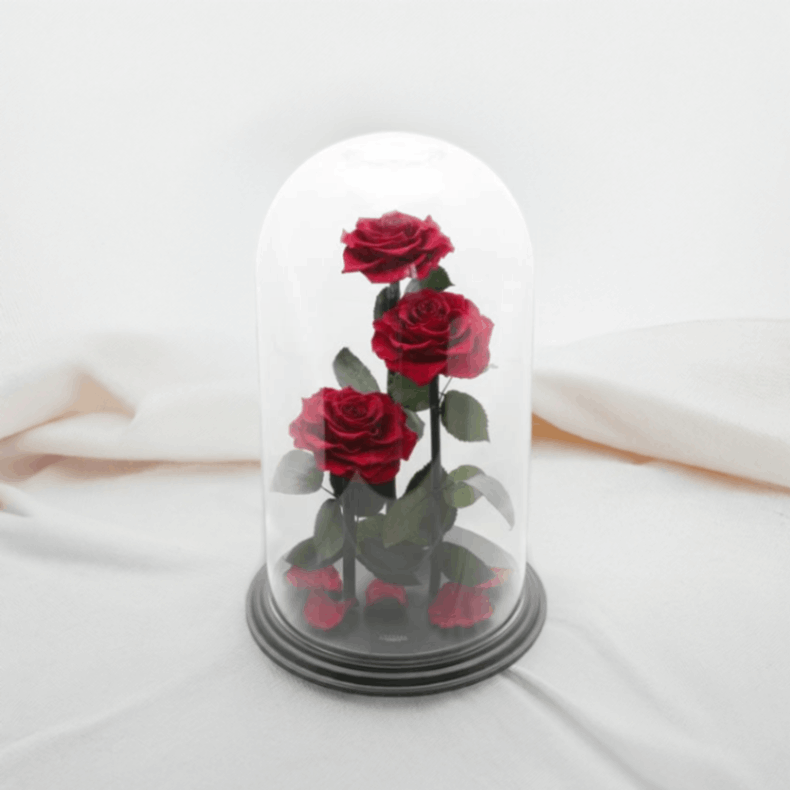 ǽ̵ ǥƥˡ ڣΩ ץꥶ֥ɥե