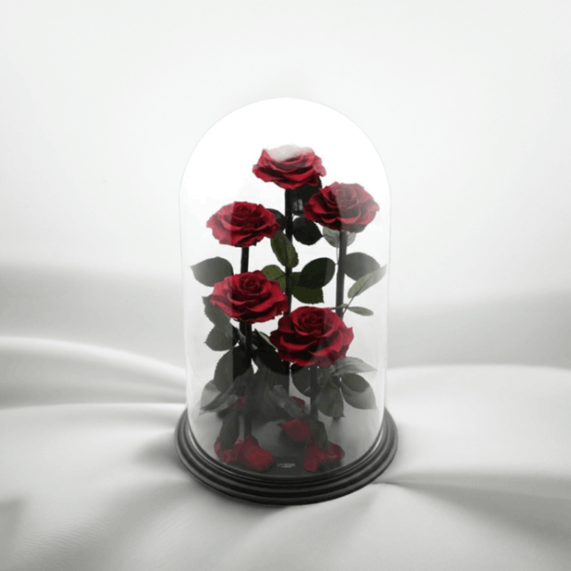 ǽ̵ ǥƥˡ ڣΩ ץꥶ֥ɥե