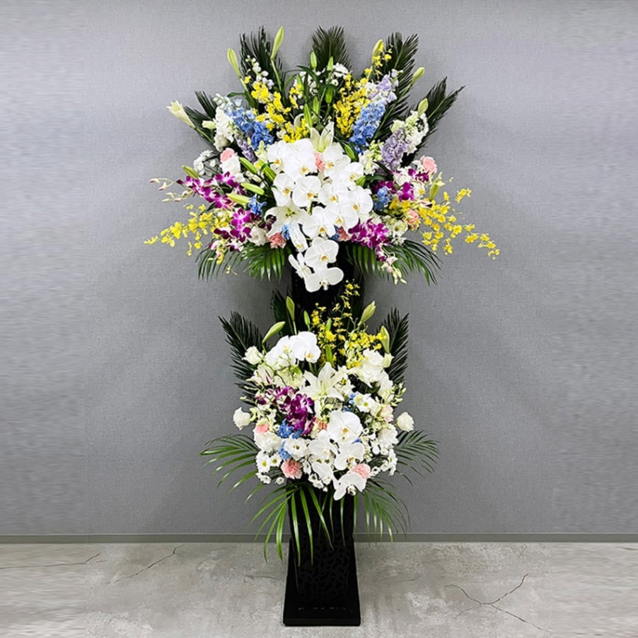 ����������������� [���Ϥ���ǽ���ꥢ��˭���ԡ��;���]