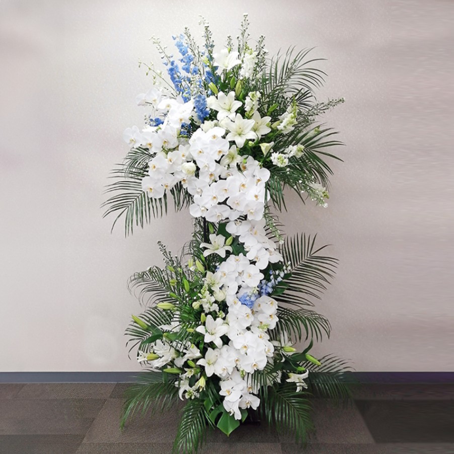 ����������������� [���Ϥ���ǽ���ꥢ��˭���ԡ��;���]