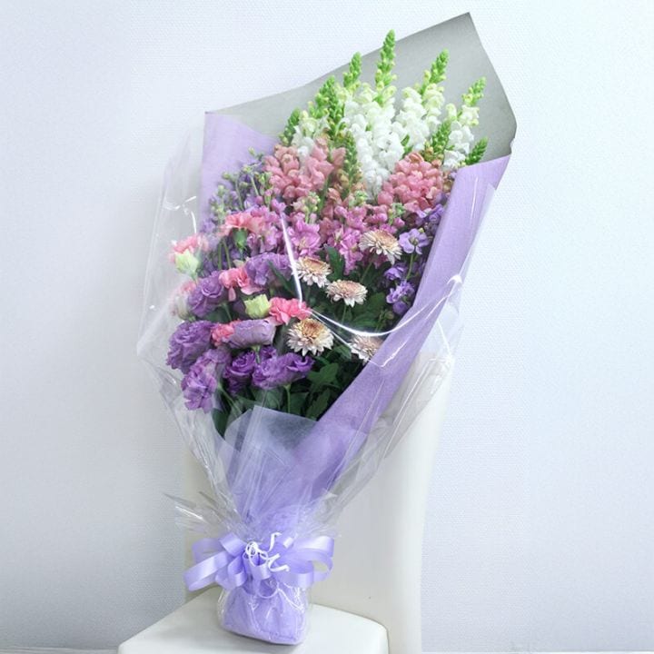 ��������« [���Ϥ���ǽ���ꥢ��˭���ԡ��;���]