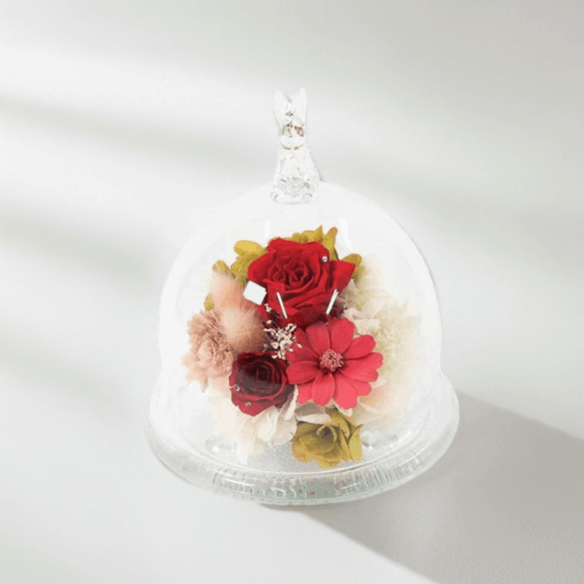 ǽ̵  饹ɡॢ -RABISS- (ץꥶ֥ɥե)