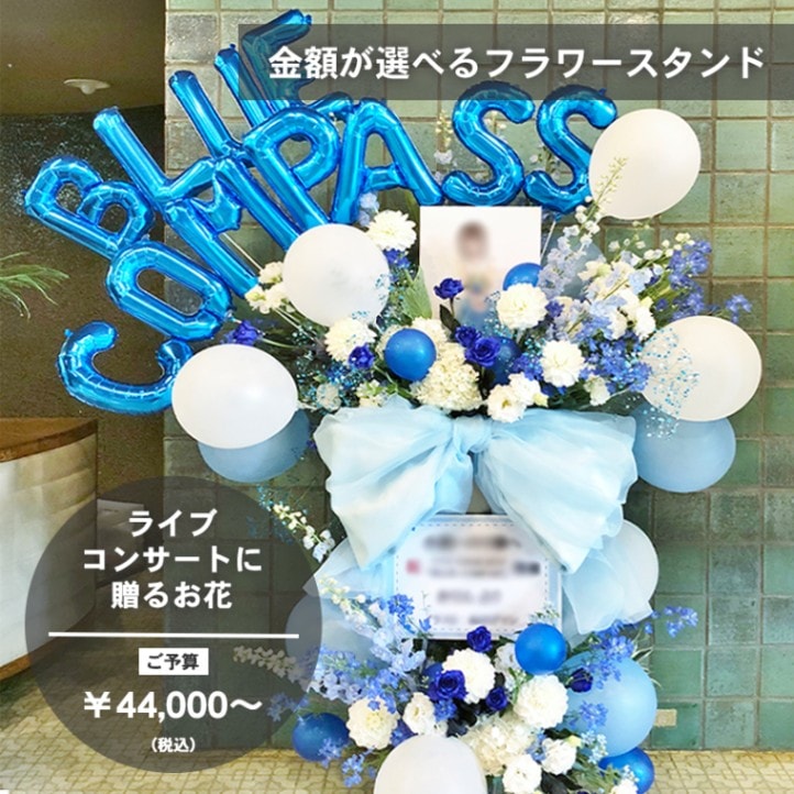 եɡʥ󥵡ȡ饤֡ȯɽѥ֡ [Ϥǽꥢ˭ԡ;]