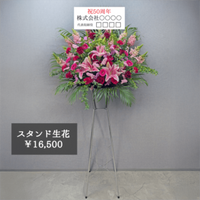 ڳҥ䥬϶50ǯǰŵ۸ˤΤ