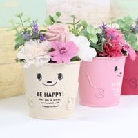 ������������ǽ������̵���� �֥ꥭ���åץ���󥸥��ȡʥץꥶ���֥ɥե���