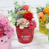 ������������ǽ������̵���� �֥ꥭ���åץ���󥸥��ȡʥץꥶ���֥ɥե���