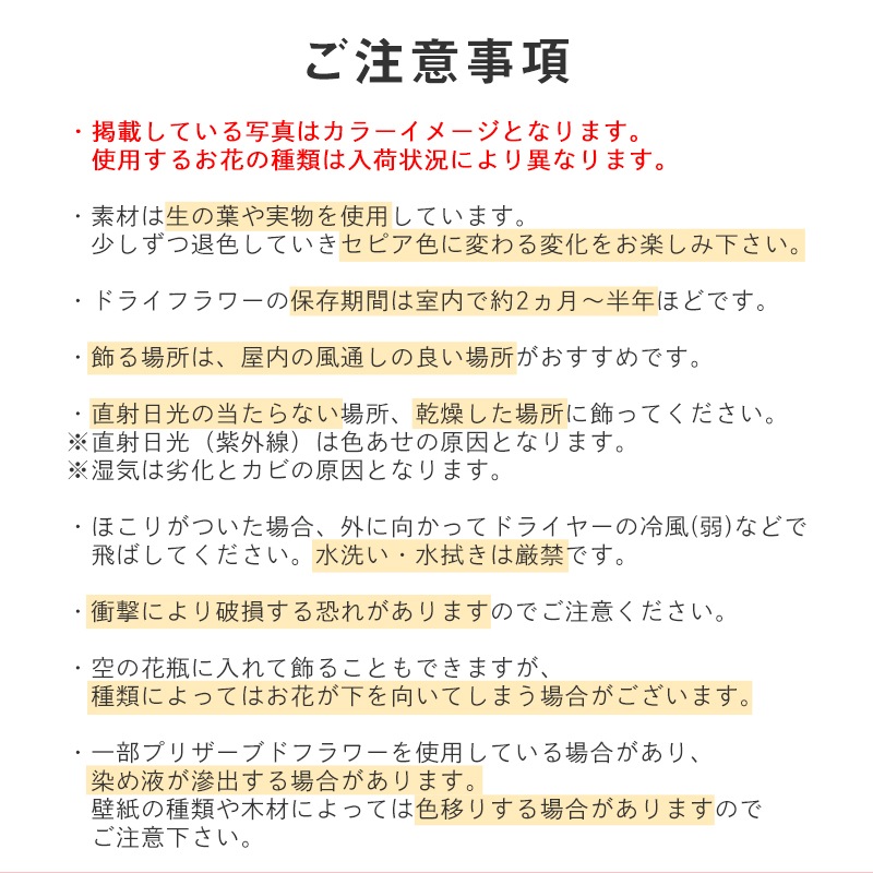 ������ȯ����ǽ�������̡ۥɥ饤�ե�����å� M