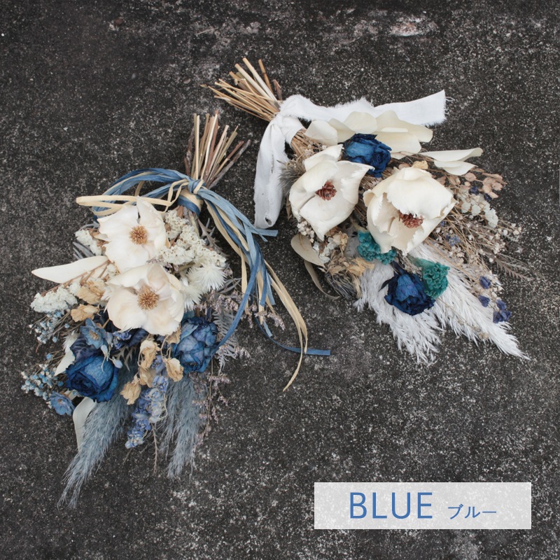 ������ȯ����ǽ�������̡ۥɥ饤�ե�����å� M