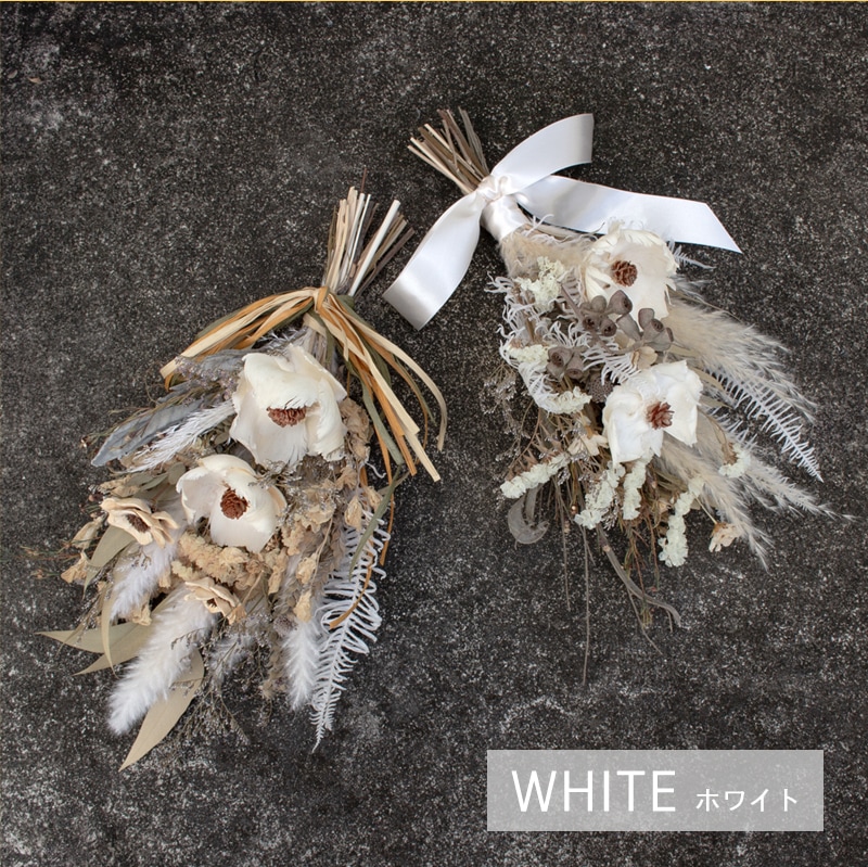 ������ȯ����ǽ�������̡ۥɥ饤�ե�����å� M