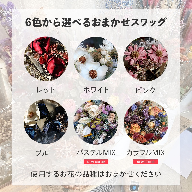 ������ȯ����ǽ�������̡ۥɥ饤�ե�����å� M