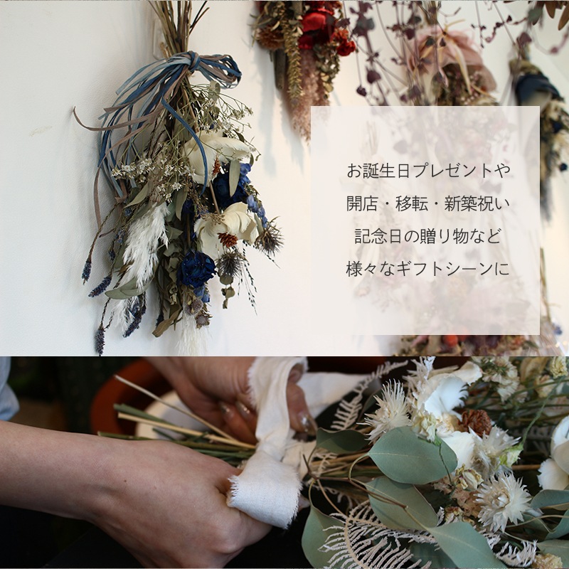 ������ȯ����ǽ�������̡ۥɥ饤�ե�����å� M