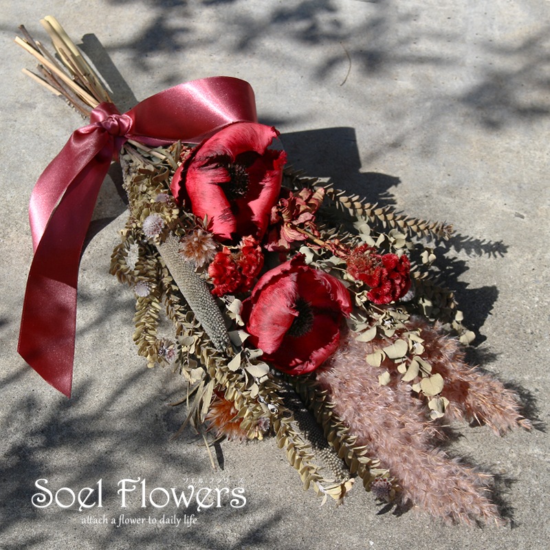 ������ȯ����ǽ�������̡ۥɥ饤�ե�����å� M