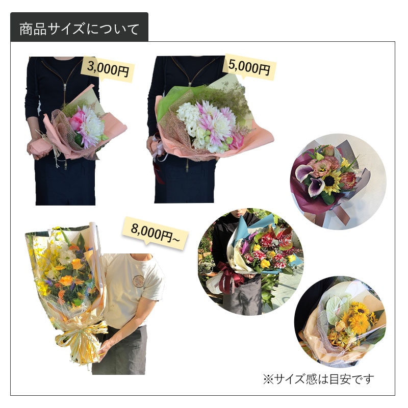 « XXXL  [Ϥǽꥢ˭ԡ;]