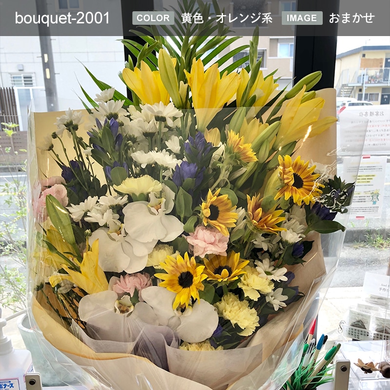 « XXXL  [Ϥǽꥢ˭ԡ;]