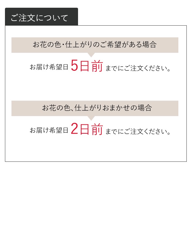  L [Ϥǽꥢ˭ԡ;]