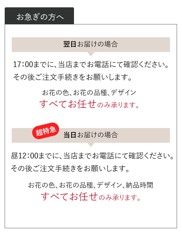 �ǥ����ʡ�������������� L [���Ϥ���ǽ���ꥢ��˭���ԡ��;���]