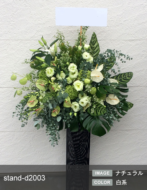 �ǥ����ʡ�������������� L [���Ϥ���ǽ���ꥢ��˭���ԡ��;���]