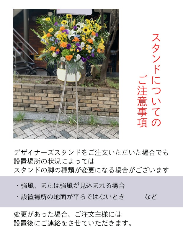 �ǥ����ʡ�������������� L [���Ϥ���ǽ���ꥢ��˭���ԡ��;���]