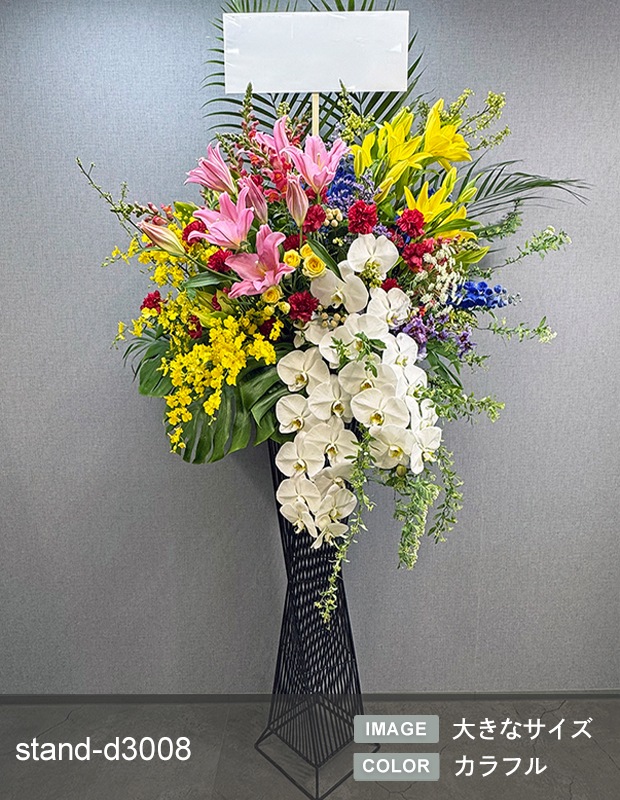 �ǥ����ʡ�������������� XL [���Ϥ���ǽ���ꥢ��˭���ԡ��;���]