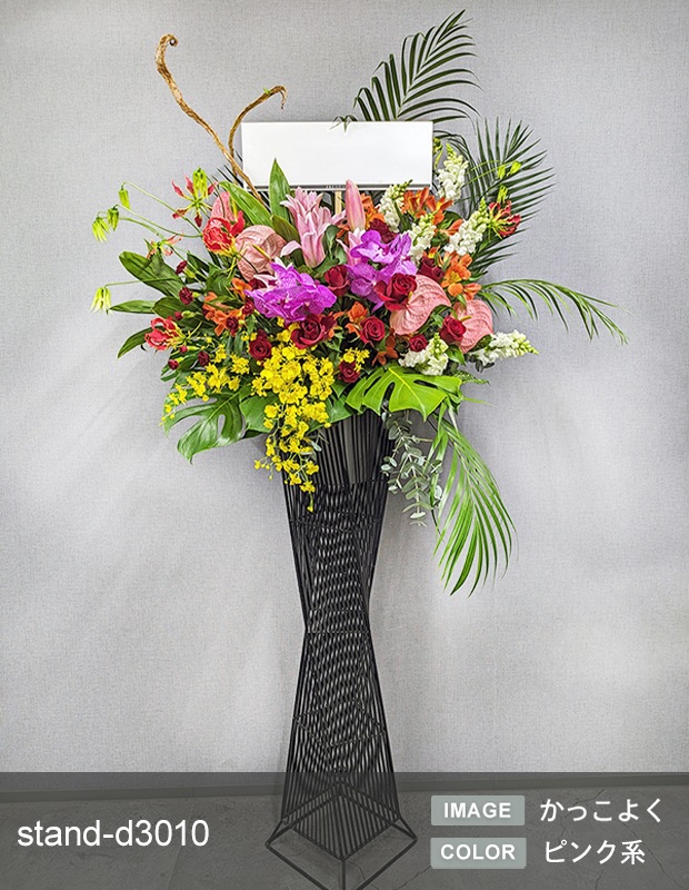 �ǥ����ʡ�������������� XL [���Ϥ���ǽ���ꥢ��˭���ԡ��;���]