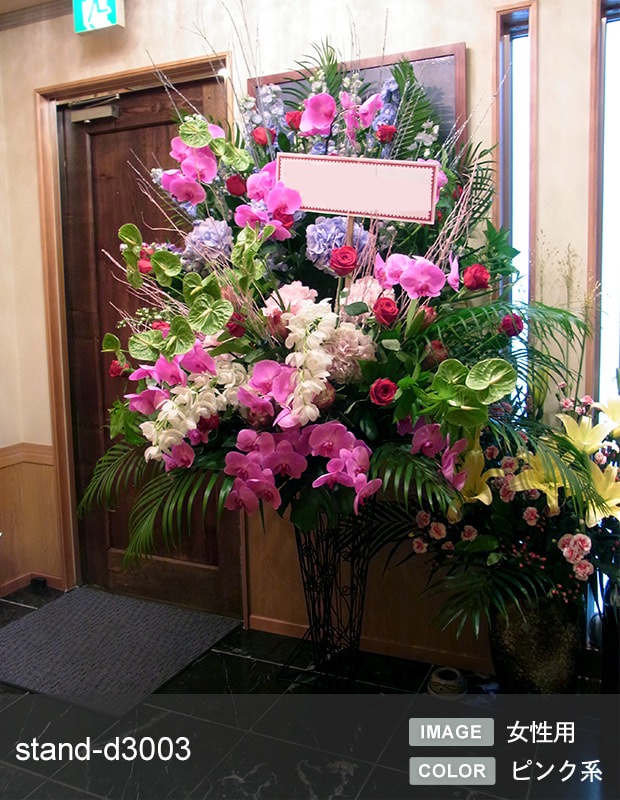 �ǥ����ʡ�������������� XL [���Ϥ���ǽ���ꥢ��˭���ԡ��;���]