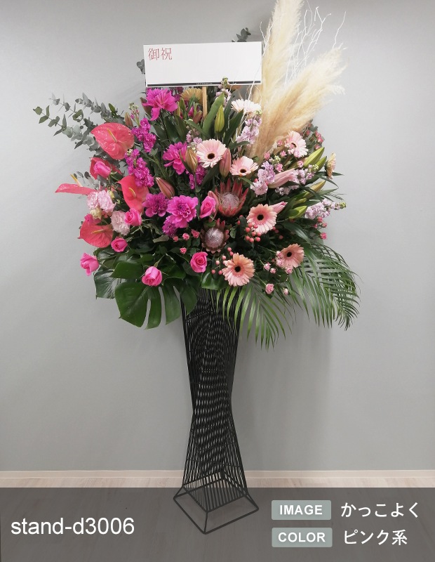 �ǥ����ʡ�������������� XL [���Ϥ���ǽ���ꥢ��˭���ԡ��;���]