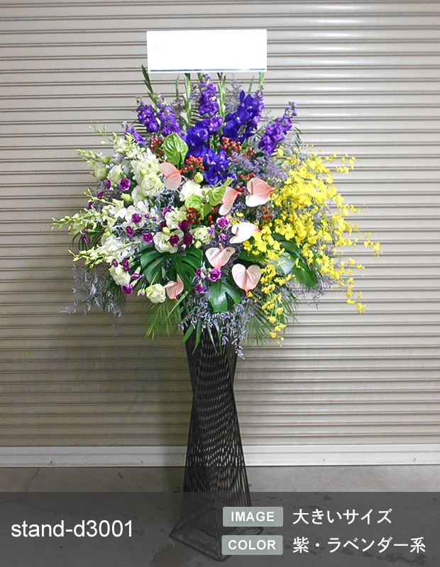 �ǥ����ʡ�������������� XL [���Ϥ���ǽ���ꥢ��˭���ԡ��;���]