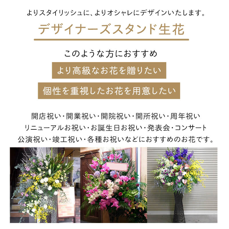 �ǥ����ʡ�������������� XL [���Ϥ���ǽ���ꥢ��˭���ԡ��;���]