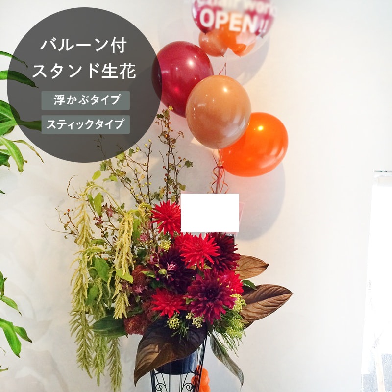 �Х롼���դ����ˤ�������� M[���Ϥ���ǽ���ꥢ��˭���ԡ��;���]