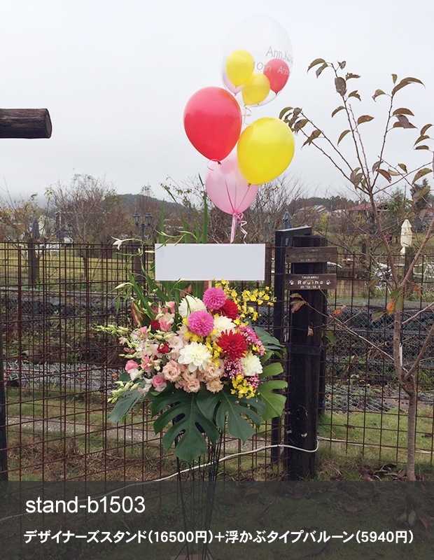 �Х롼���դ����ˤ�������� M[���Ϥ���ǽ���ꥢ��˭���ԡ��;���]