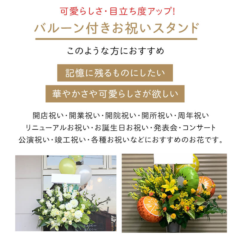 �Х롼���դ����ˤ�������� M[���Ϥ���ǽ���ꥢ��˭���ԡ��;���]