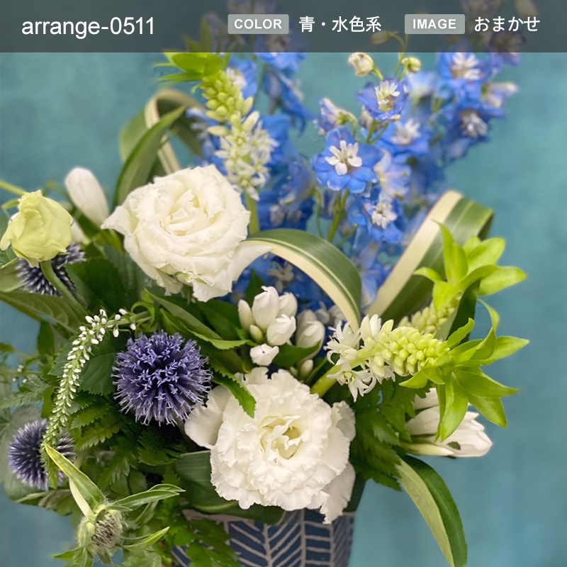 £ʪ 󥸥 M [Ϥǽꥢ˭ԡ;]