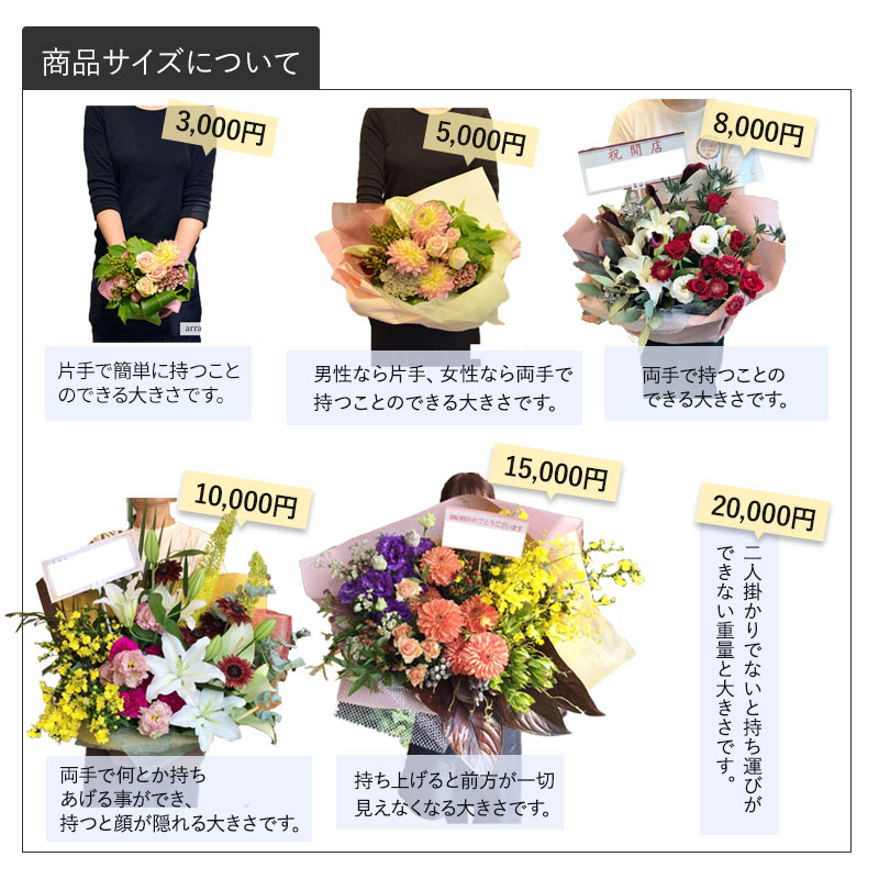 £ʪ 󥸥 M [Ϥǽꥢ˭ԡ;]