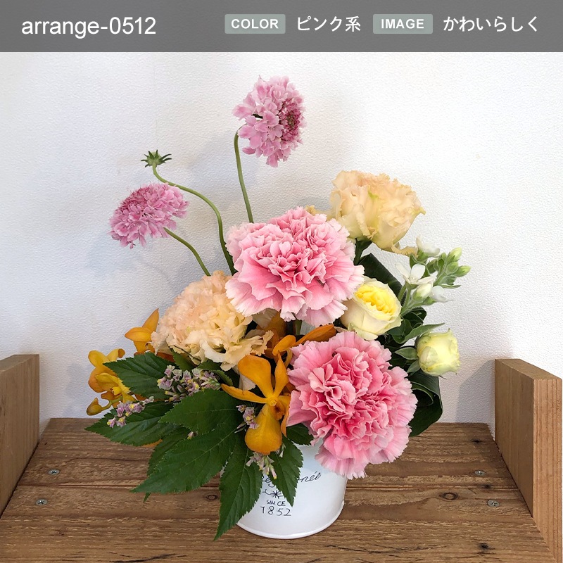 £ʪ 󥸥 M [Ϥǽꥢ˭ԡ;]