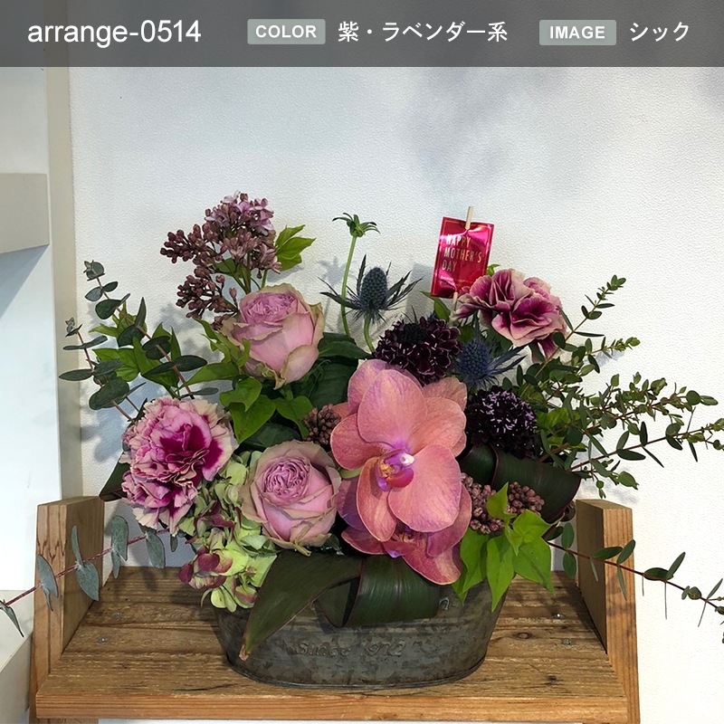 £ʪ 󥸥 M [Ϥǽꥢ˭ԡ;]