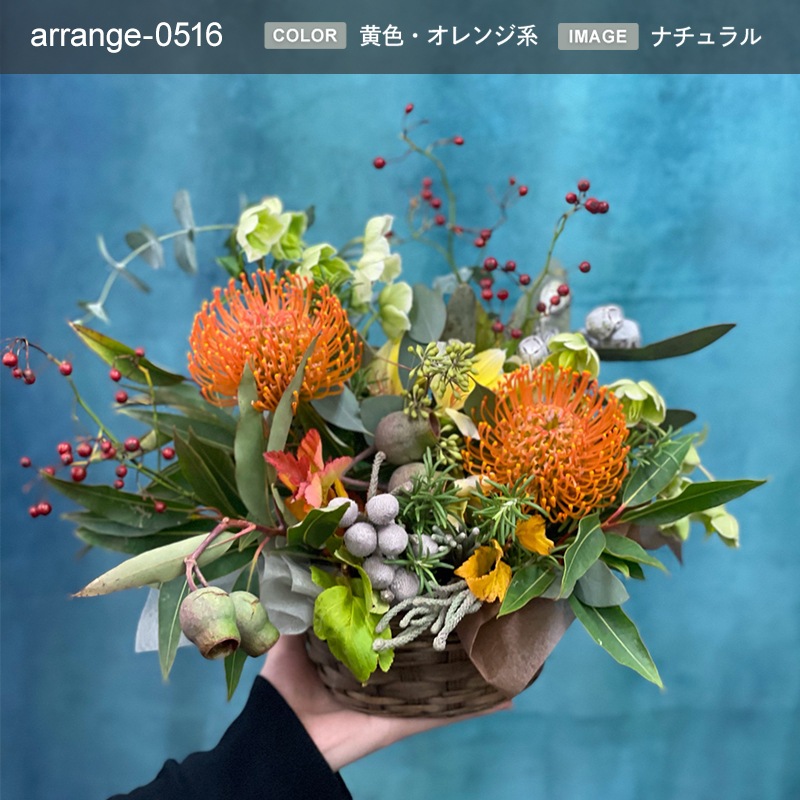 £ʪ 󥸥 M [Ϥǽꥢ˭ԡ;]