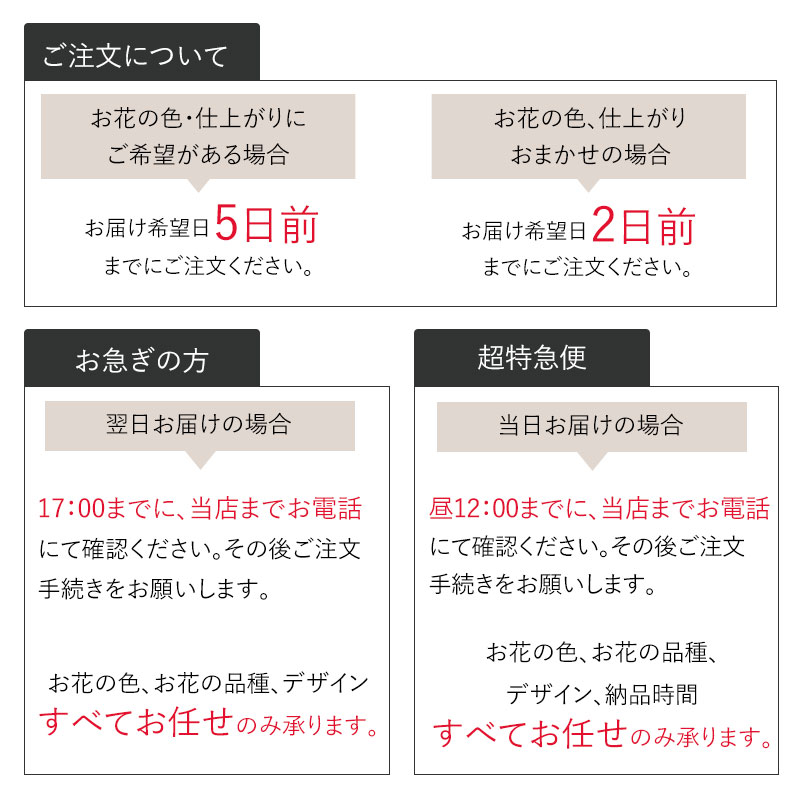 £ʪ 󥸥 M [Ϥǽꥢ˭ԡ;]