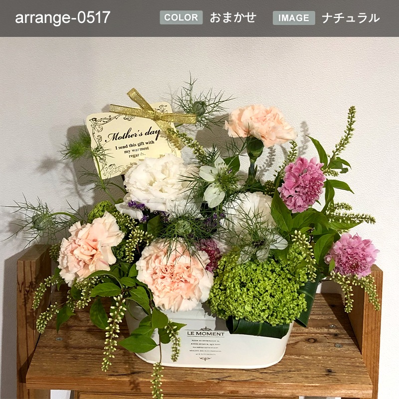 £ʪ 󥸥 M [Ϥǽꥢ˭ԡ;]