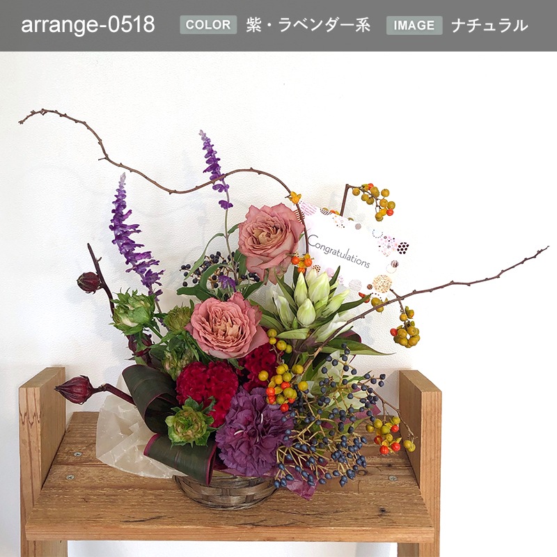 £ʪ 󥸥 M [Ϥǽꥢ˭ԡ;]