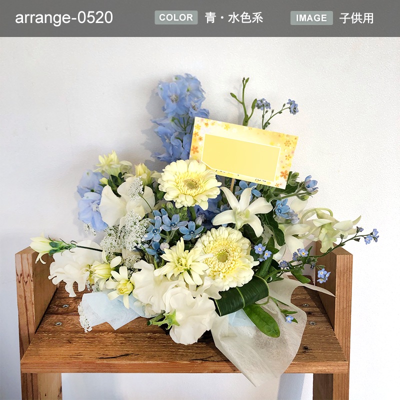 £ʪ 󥸥 M [Ϥǽꥢ˭ԡ;]