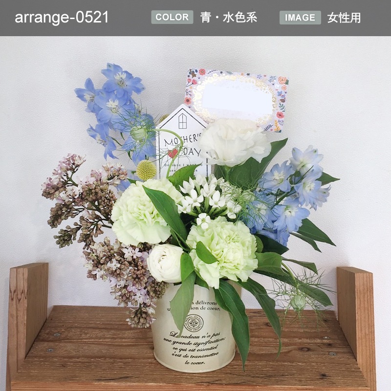 £ʪ 󥸥 M [Ϥǽꥢ˭ԡ;]