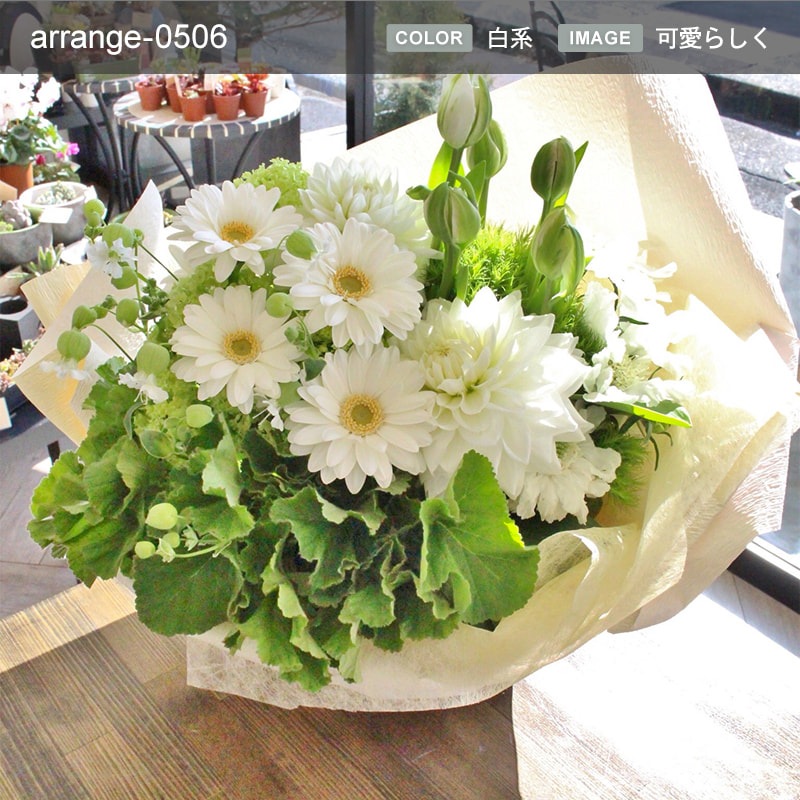 £ʪ 󥸥 M [Ϥǽꥢ˭ԡ;]