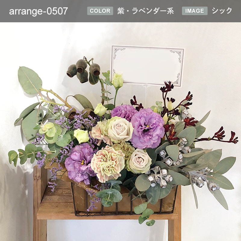 £ʪ 󥸥 M [Ϥǽꥢ˭ԡ;]