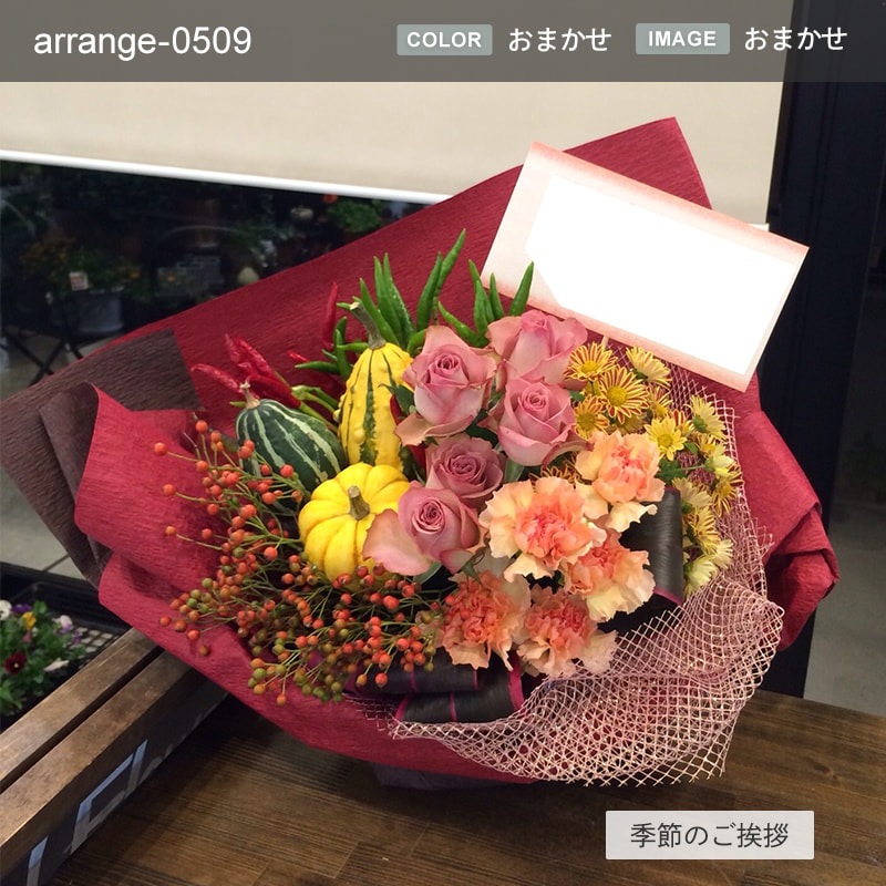 £ʪ 󥸥 M [Ϥǽꥢ˭ԡ;]