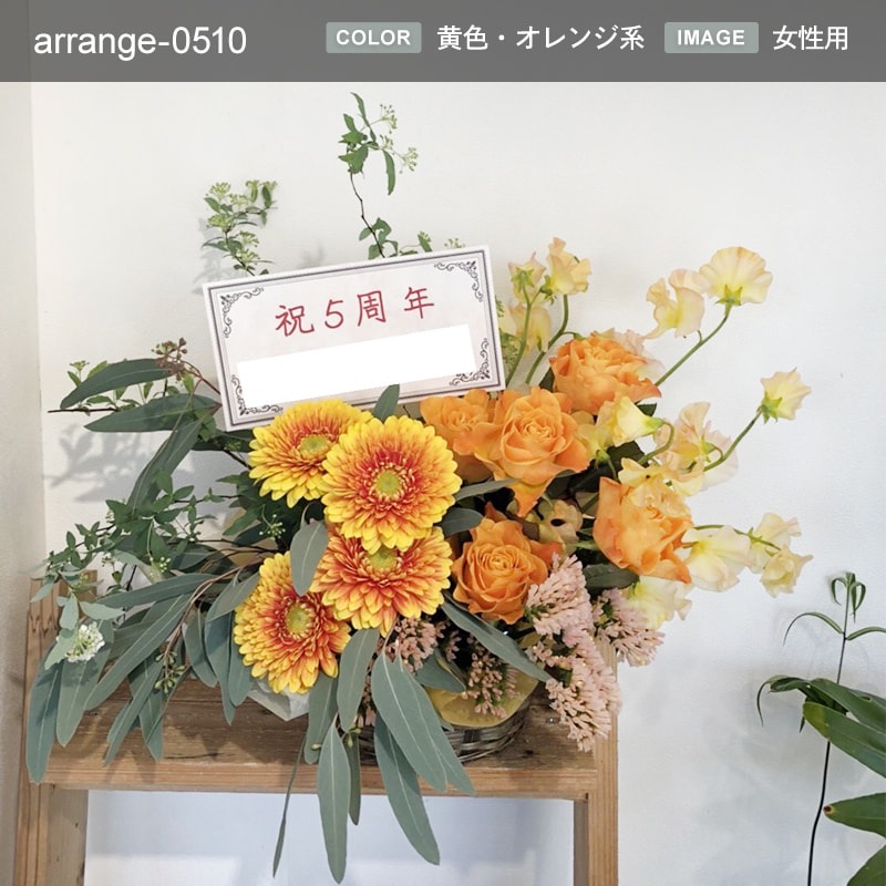 £ʪ 󥸥 M [Ϥǽꥢ˭ԡ;]