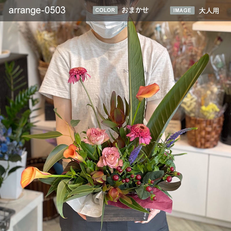 £ʪ 󥸥 M [Ϥǽꥢ˭ԡ;]