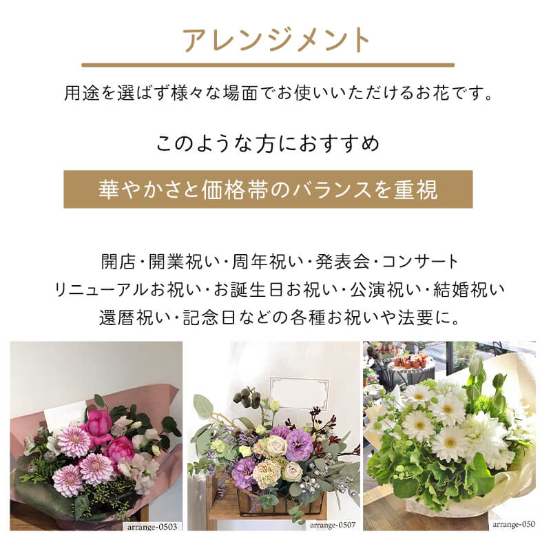 £ʪ 󥸥 M [Ϥǽꥢ˭ԡ;]