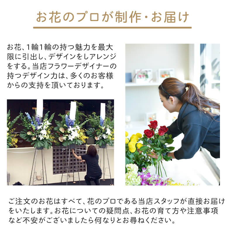 £ʪ 󥸥 M [Ϥǽꥢ˭ԡ;]