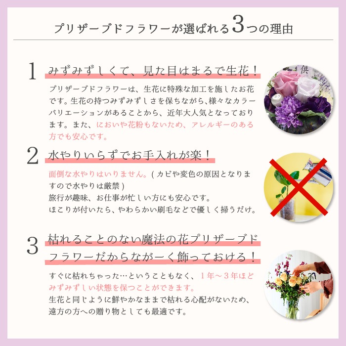 ������������ǽ������̵����  ����������󥸥��եȥ��å� - ���٤뤪�֤Ȥ�����ʥǥ����ˡ��� - �ʥץꥶ���֥ɥե���